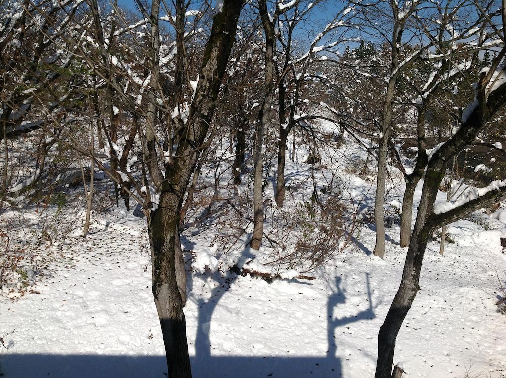 Myoko Kogen Pension Yamasan Экстерьер фото
